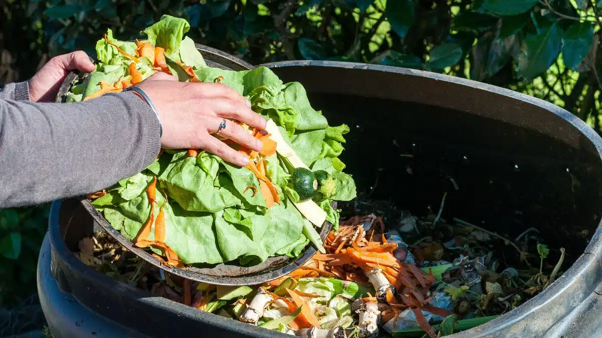 Minimizing Food Waste
