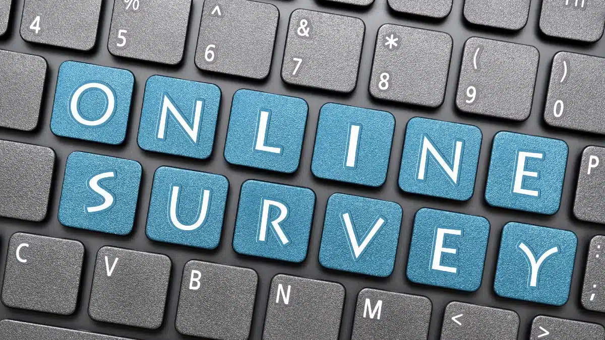 Participate in Online Surveys
